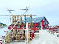 Discovering the Charm of Å in the Lofoten Islands 