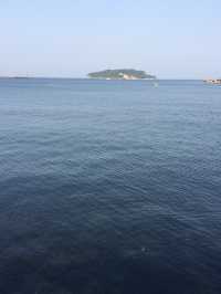 🌅Early Summer Evening in Yokosuka Mikasa 