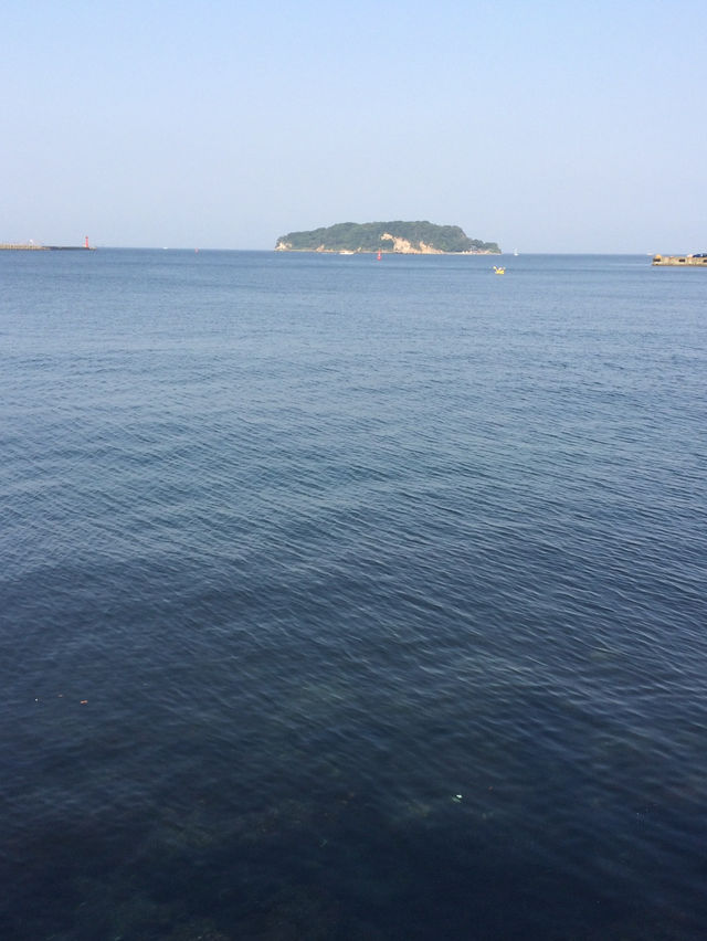 🌅Early Summer Evening in Yokosuka Mikasa 