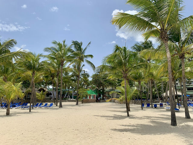【ドミニカ共和国】フアン・ドリオ🇩🇴