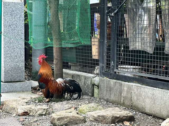 呑兵衛のおすすめ高知旅