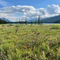 Yoho National Park 🏞️💎