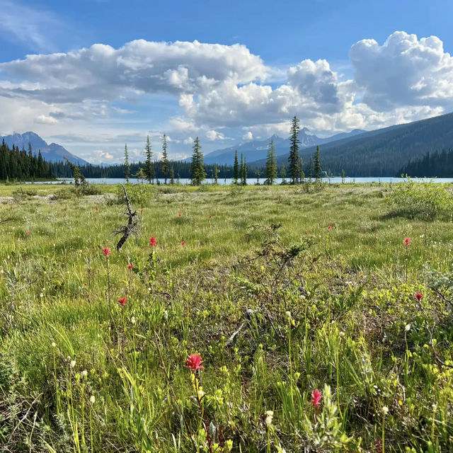 Yoho National Park 🏞️💎