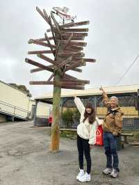 澳洲阿得雷德、墨爾本+新加坡親子遊