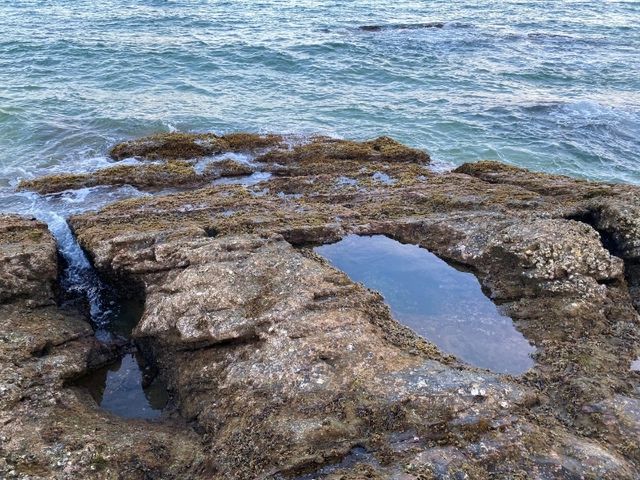 Pantai Teluk Bidara – Where Nature Meets Tranquility ✨🌊