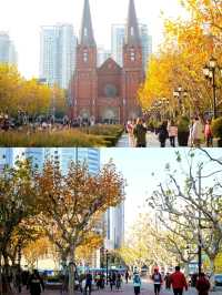 Xujiahui Cathedral (St. Ignatius) Shanghai