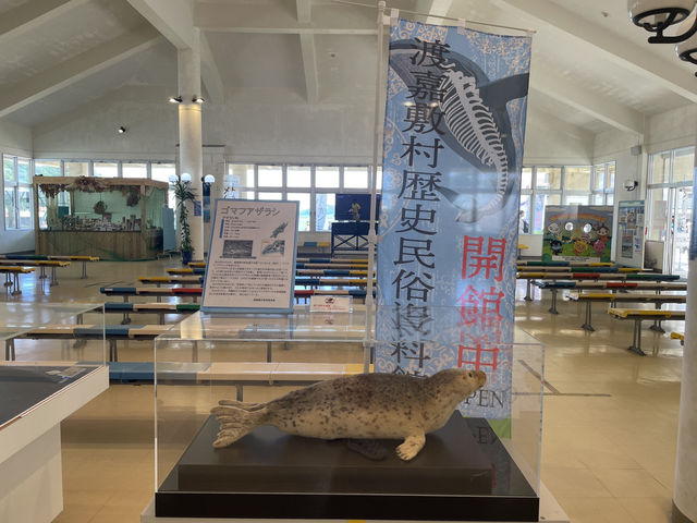 🌊渡嘉敷島徒步：在沖繩離島遇見藍與綠的交響