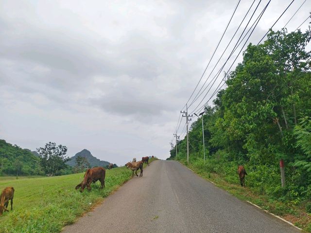 สุริยาแลนด์ สัตหีบ