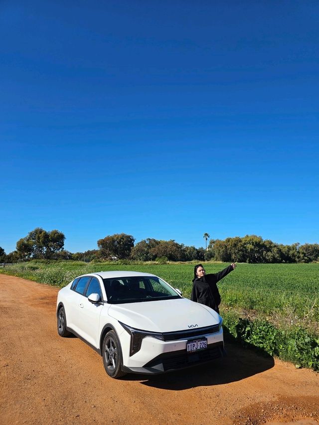Roadtrip Vibes: Leaning Tree & Jurien Bay Beach Fun 🌳🏖️