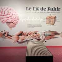 🔬 Discovery Awaits at Science Expériences Lyon