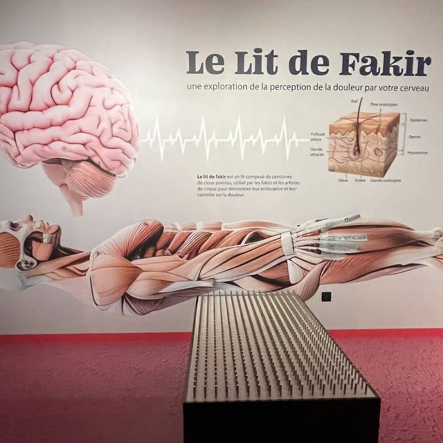 🔬 Discovery Awaits at Science Expériences Lyon