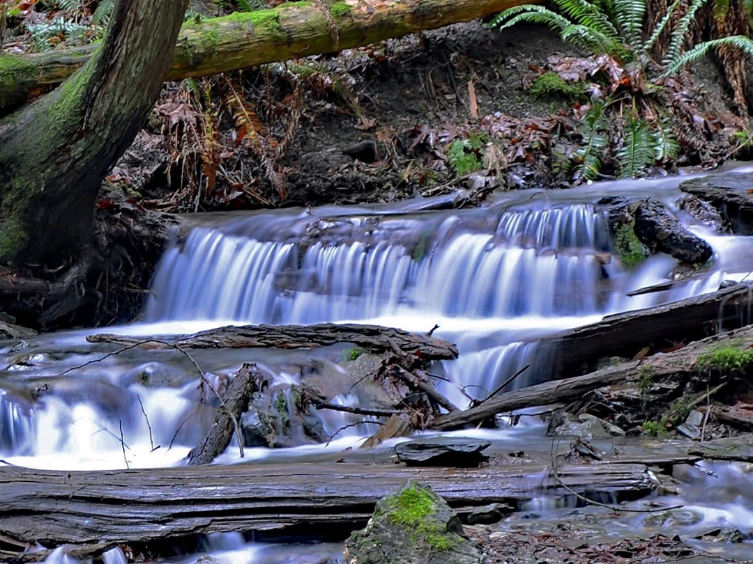 Bridal Falls
