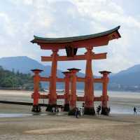 海中島居+海上神社+神之使者一在嚴島神社散策