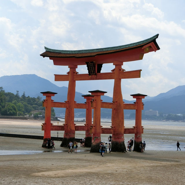 海中島居+海上神社+神之使者一在嚴島神社散策