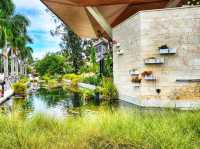 🌺 Marie Selby Botanical Gardens – A Tropical Oasis by the Bay