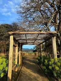 🏛️ Port Arthur Historic Site – Tasmania’s Window into the Past