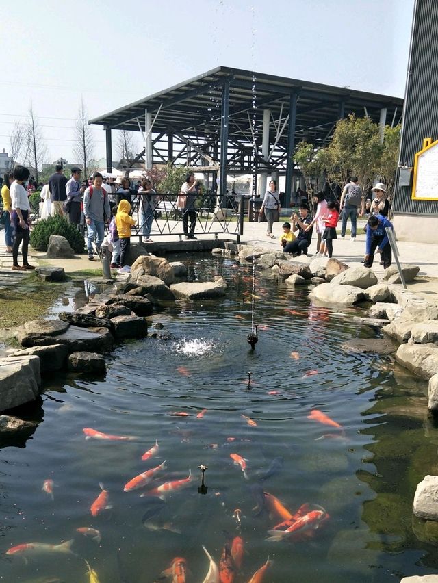 親子同遊的雲林療癒景點🐄#【千巧谷牛樂園牧場】-雲林縣崙背鄉 親子同遊的雲林療癒景點🐄#【千巧谷牛樂園牧場】-雲林縣崙背鄉