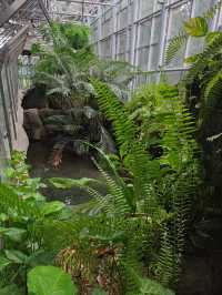 名古屋親子活動最佳場所#名古屋東山動植物園-日本愛知縣名古屋市