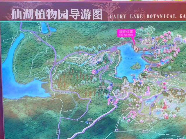 深セン 深セン