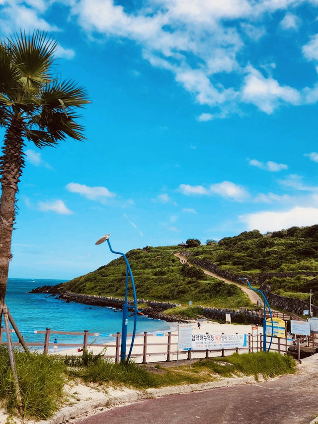 Coastal Walk and Scenic Bridge Views