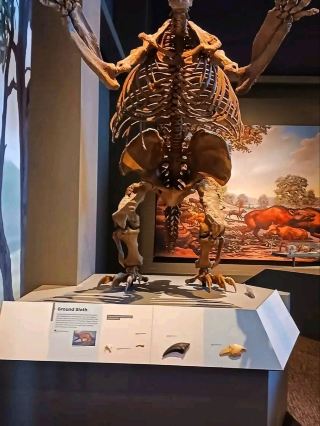 🏛️ 北達科他州遺產中心和州立博物館－歷史重現的地方