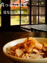 蕎麦打ち体験ができる蕎麦屋さん 窓から紅葉も・・