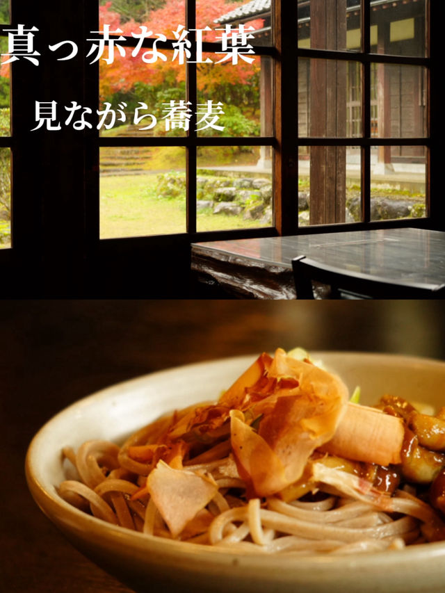 蕎麦打ち体験ができる蕎麦屋さん 窓から紅葉も・・