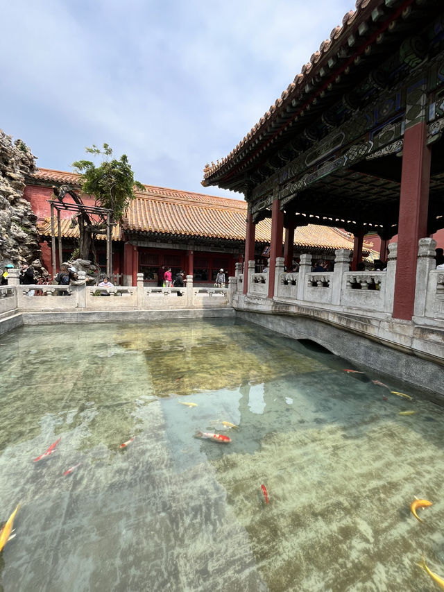 🏯中国の歴史を感じる｜北京・故宮博物館・紫禁城