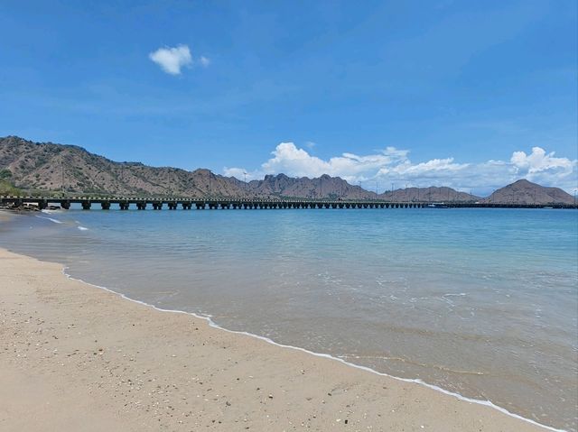 Komodo Wonders🌿 One Day Trip