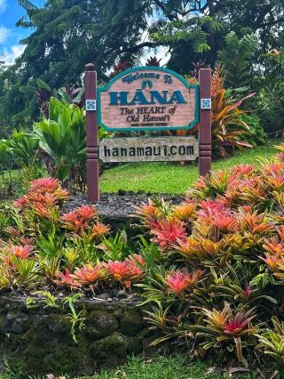 🌺 와이아나파나파 주립공원 – 마우이의 검은 모래 천국