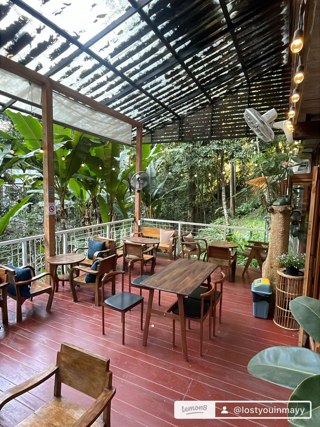 สมศรีมีกาแฟ คาเฟ่ริมน้ำ กลางป่า กลางใจ 🍃☕️ สมศรีมีกาแฟ คาเฟ่ริมน้ำ กลางป่า กลางใจ 🍃☕️