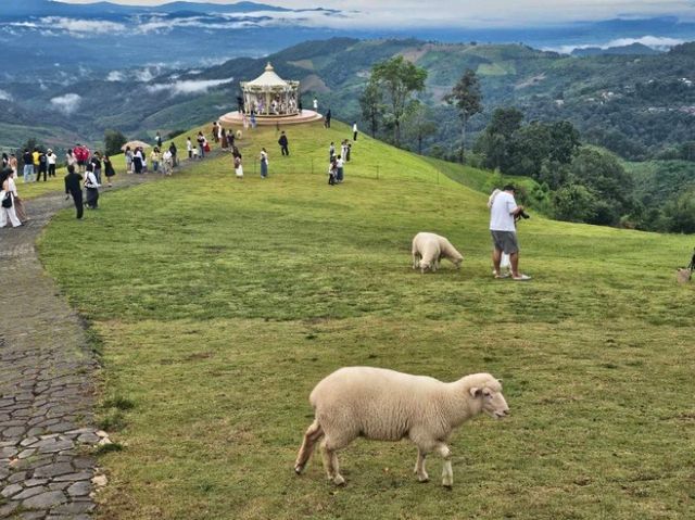 🌿 Akha Farmville ดอยช้าง —ฟีลเหมือนอยู่ฟาร์มยุโรป