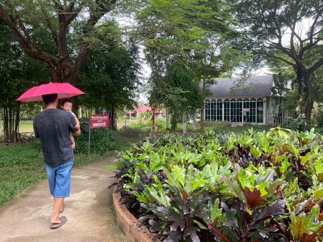 รีวิว “วีว่า ฟาร์ม” จันทบุรี 🐄🌿🍦 รีวิว “วีว่า ฟาร์ม” จันทบุรี 🐄🌿🍦