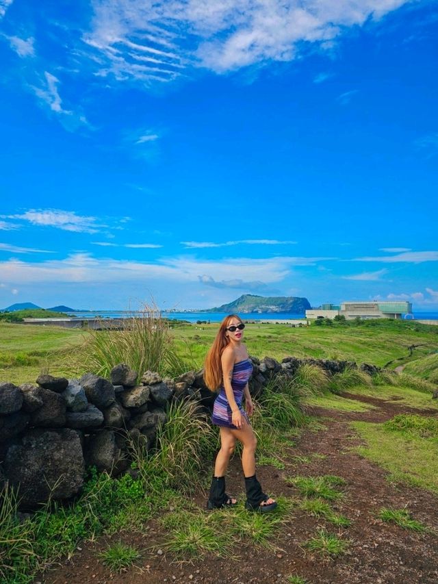 ✈️ 제주도 동쪽 가볼만한곳 + 맛집 + 카페