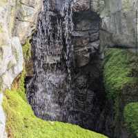 Franklin Park Conservatory and Botanical Gardens