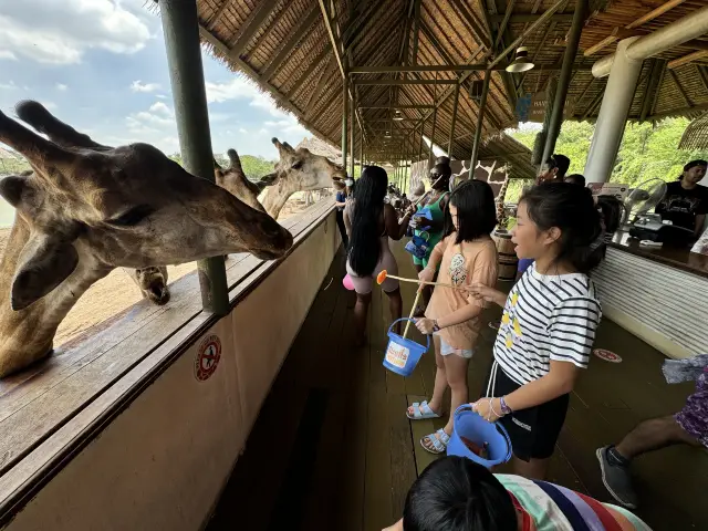 Alternative Day: "A Family Diary at the Military Museum, Strolling Through Wat Arun, Feeding Giraffes, and an Afternoon with NaRaYa's Shadows"