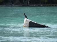 🇨🇳 👹 The Kanas Lake Monster