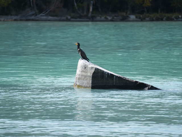 🇨🇳 👹 The Kanas Lake Monster