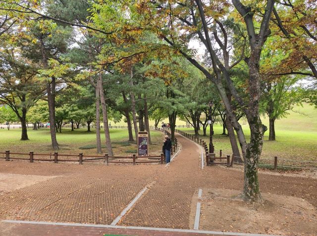 가을여행하기에 너무 좋은 경주 대릉원 가을여행하기에 너무 좋은 경주 대릉원