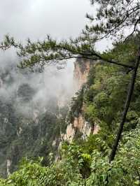 🌲 Zhangjiajie National Forest Park — The Ultimate 2-Day Guide for First-Timers 🌄