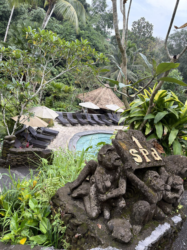 【バリ島おすすめホテル🇮🇩】ウブドエリア　チャンプアンホテル🌴✨