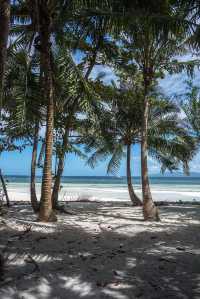 Doljo Beach - Starfish everywhere!
