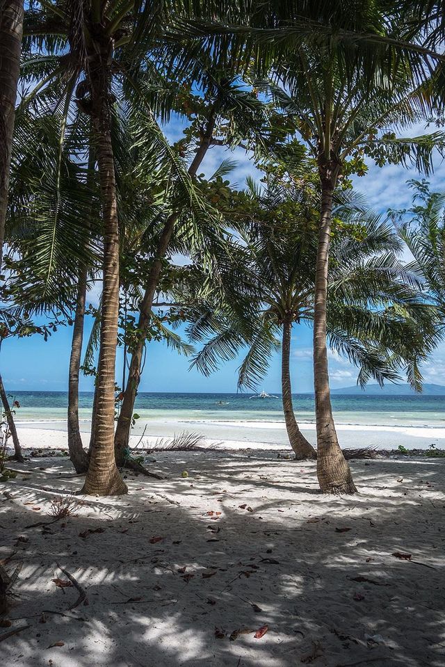 Doljo Beach - Starfish everywhere!