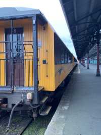 잠시 멈춰, 나를 찾아가는 더나든 여행