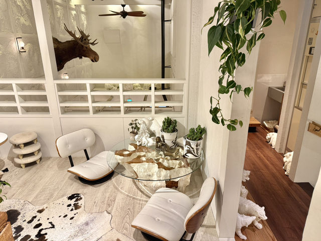 A Stylish Hideaway in Susukino: Mermaid Coffee Roasters A Stylish Hideaway in Susukino: Mermaid Coffee Roasters