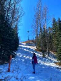 🌲 Fish Creek Provincial Park – Calgary’s Wild Urban Wilderness