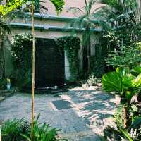 추운 겨울과 더운 여름에도 완벽한 실내데이트, 전주 아열대 식물원