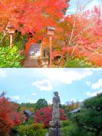 京都小眾賞楓秘境|正法寺禪意紅葉之旅🍁