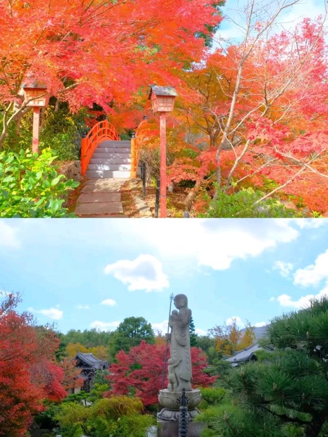 京都小眾賞楓秘境|正法寺禪意紅葉之旅🍁 京都小眾賞楓秘境|正法寺禪意紅葉之旅🍁