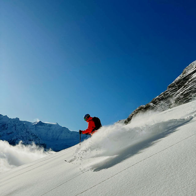 Ski Dreams Maidstone⛷️ Ski Dreams Maidstone⛷️